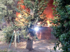 Возгорание сараев на улице Костромской воронежцы связали с поджогом