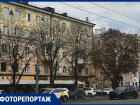 Как выглядят умирающие каштановые аллеи на Плехановской в центре Воронежа