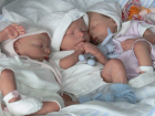 В 2016 году в Воронежской области родилась 101 двойня и 1 тройня
