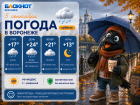 Кап-кап: прогноз погоды в Воронеже