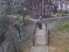 Отвязная семейная парочка занялась оральной любовью у всех на виду в Воронежской области
