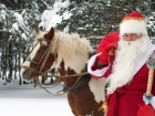 В Воронеже цена на Деда Мороза может достигать 10 тысяч рублей