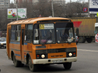Воронежцы опубликовали петицию за новый общественный транспорт