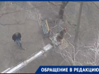 Воронежские коммунальщики «прошлись» по деревьям во дворе на Новгородской