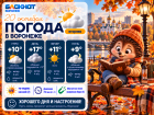 Облачно без осадков: прогноз погоды в Воронеже
