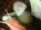 В Воронеже на видео попало аппетитное поедание огурца улиткой
