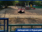 Бездомные собаки отобрали площадку у детей в Юго-Западном микрорайоне Воронежа