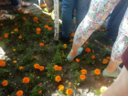 Зрители Парада Победы уничтожили цветы в центре Воронежа 