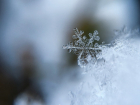 Ветер и снег накроют Воронеж на новогодних каникулах