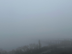 Густой туман накрыл Воронеж: метеоцентр объявил желтый уровень опасности