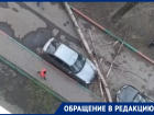 Дерево рухнуло на землю и задело машину в Воронеже
