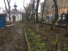 В центре Воронежа высадили Аллею памяти и скорби о жертвах ДТП