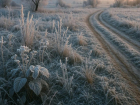 Синоптики сообщили о заморозках на предстоящей неделе в Воронежской области
