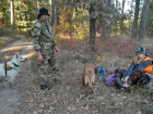 Заблудившуюся ростовскую пенсионерку нашли мертвой в лесу под Воронежем