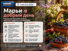 Зачем наши предки стелили лен по траве и почему боялись ходить босиком