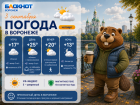 Осень пришла: прогноз погоды в Воронеже