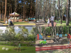 Как будет выглядеть обновленный парк «Дельфин», показали в Воронеже
