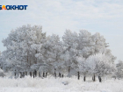 Оттепель со снегопадами встретят в начале весны жители Воронежской области