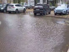 Позор у дорогостоящего стадиона показали в Воронеже 