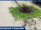 Отвратительный поступок парней показали в Воронеже 