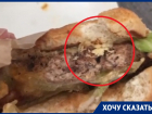 Бутерброд с личинками мух из «Макдоналдс» попался 9-летнему ребенку в Воронеже 