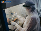 Массовая вакцинация от COVID-19 стартовала в Воронежской области