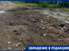 Хуже, чем в деревне: воронежцы показали, как выглядит городская улица 21-го века