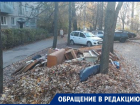 Стихийная помойка из мебели и гнилых листьев возмутила воронежцев 