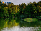 Особо охраняемую природную зону хотят создать на берегах притока Дона в Воронежской области