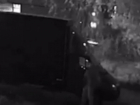 Гневный поступок мужчины попал на видео в Воронеже