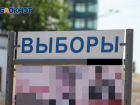ЦИК утвердил проведение дистанционного голосования на выборах воронежского губернатора