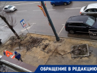 Мэрия Воронежа объяснила «удаление» части деревьев с проспекта Революции 