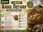 Как 7 августа наши предки загадывали зиму по муравьям и аистам
