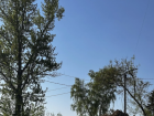 Три дня дождя: прогноз погоды в Воронеже