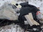 Бесцеремонное вторжение в природу заметили на поле под Воронежем