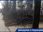 Одинокий подъезд в окружении спиленных деревьев привлек внимание воронежцев