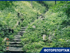Водная гладь, Белая гора и дуб, который застал Пушкина: как построить маршрут эко-тропы за 0 рублей по окрестностям Воронежа  