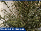 "Она умерла за два дня": жительница Воронежа лишилась новогоднего настроения после покупки ёлки