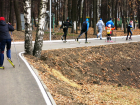 Под Воронежем хотят построить лыжероллерную трассу за 51 млн рублей