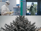 Коронавирус в Воронеже 14 декабря: 381 зараженный, партия вакцины и слежка за новогодними гуляниями 