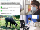 Коронавирус в Воронеже 10 декабря: тысяча смертей, возможность закрытия региона и ежедневная «горячая линия»