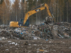 Ущерб на 3 млн рублей при ликвидации свалки выявили воронежские силовики