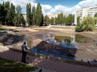 Воронежские власти «обнулили» Лебединое озеро на Минской