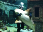 Воронежцев умилил танец водолаза с большой акулой