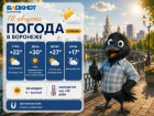 Жаркие дни и холодные ночи: прогноз погоды в Воронеже