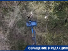 Трогательное спасение кота с помощью вышки сняли в Воронеже