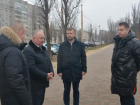 О новой очистке Лебединого озера задумался вице-спикер Воронежской гордумы Черкасов