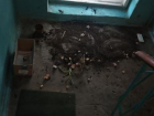 В помойную яму и наркопритон превратили подъезд дома на Машмете в Воронеже