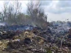 Полыхающая воронежская свалка заинтересовала Бастрыкина 