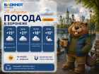 Согреваемся кофе и куртками: прогноз погоды в Воронеже